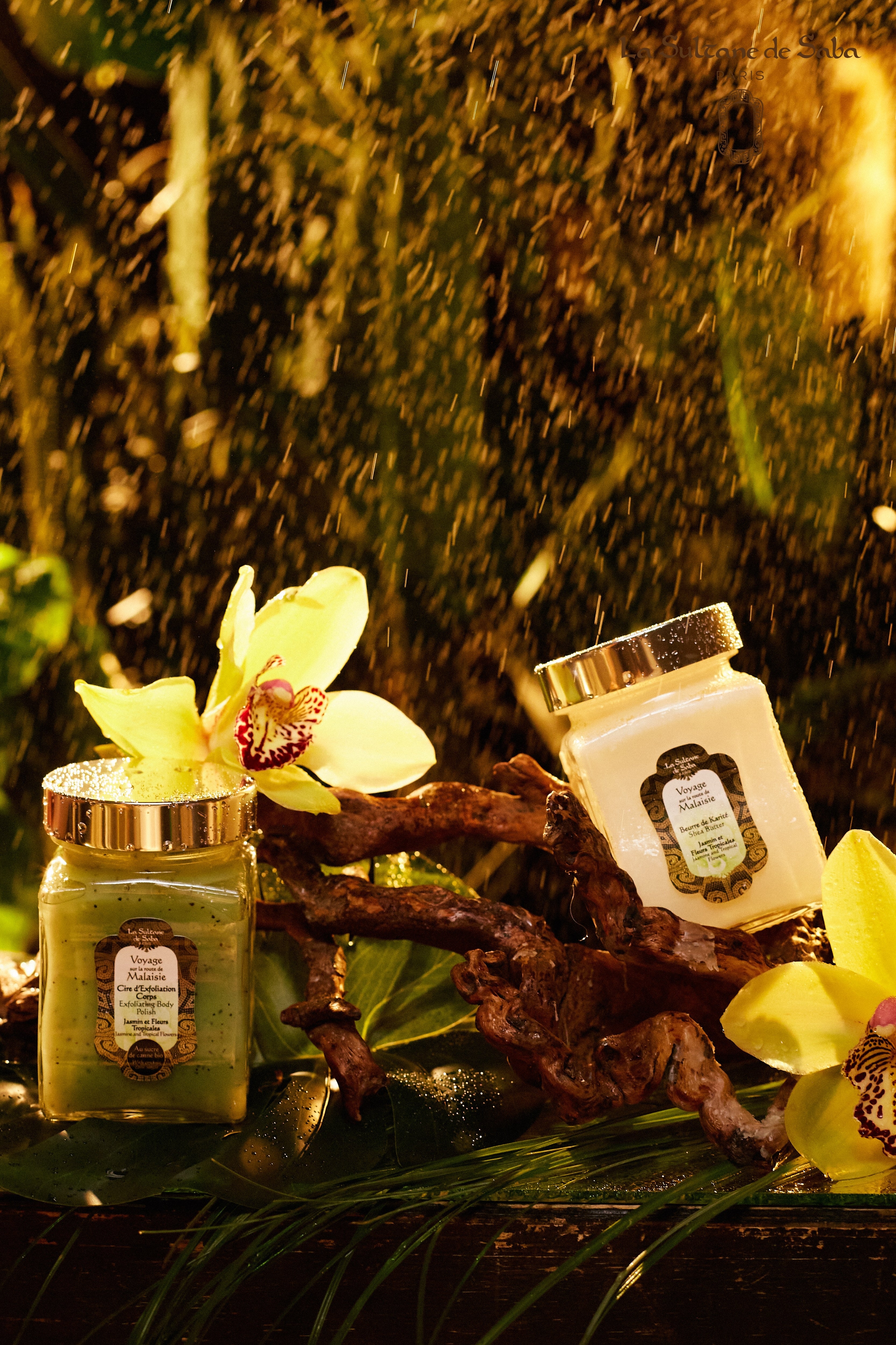Journey to the Route of Malaisya - Jasmine and Tropical Flowers